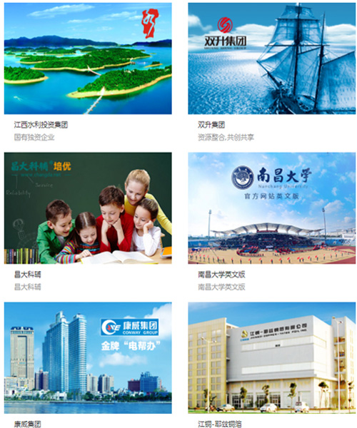网站建设案例