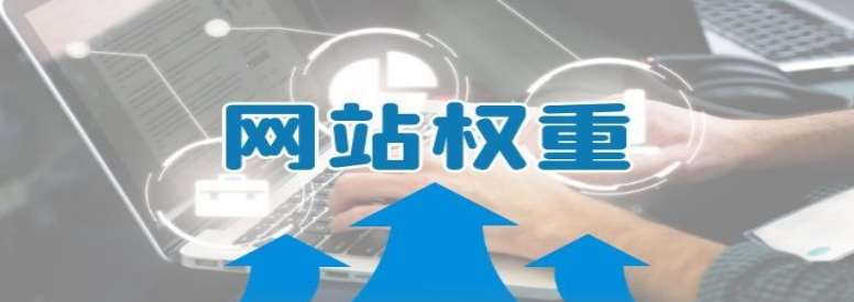 怎样判断网站权重的真假