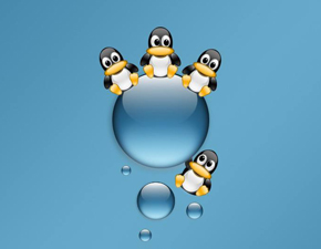 Linux中如何使用echo命令输出指定文本字符串？