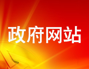 不合格政府网站238名责任人被问责